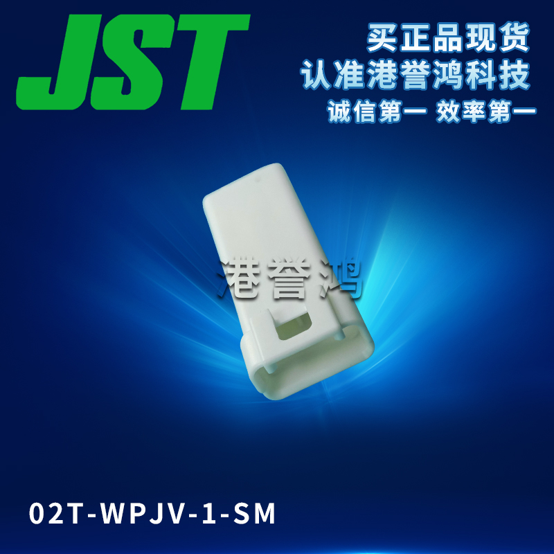 02T-WPJV-1-SM(2).jpg