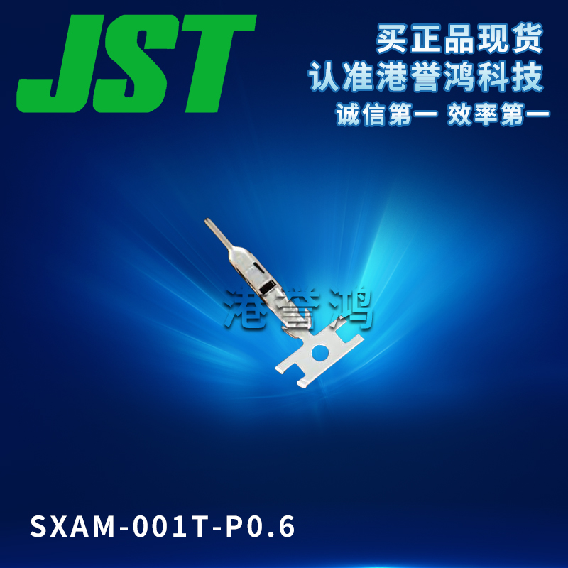 SXAM-001T-P0.6.jpg