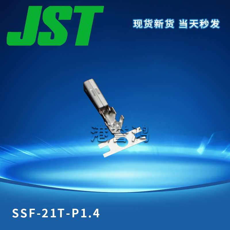 SSF-21T-P1.4（2）.jpg