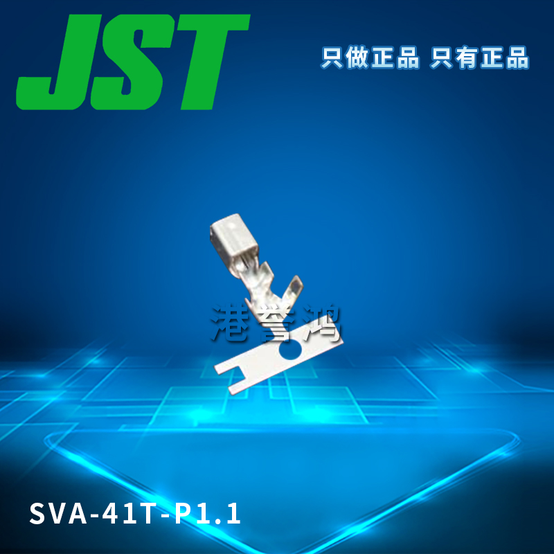 SVA-41T-P1.1(2).jpg