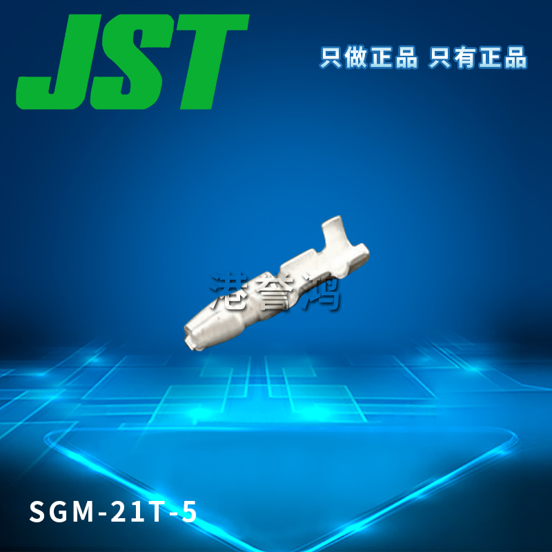 SGM-21T-5（2）.jpg