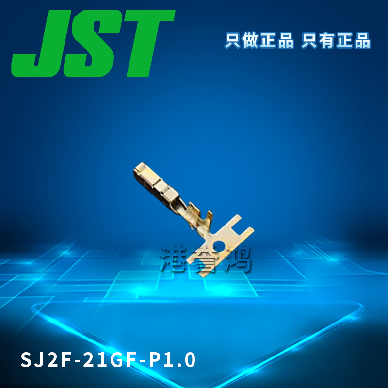 SJ2F-21GF-P1.0（2）.jpg