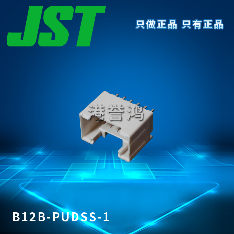 B12B-PUDSS-1（2）.jpg