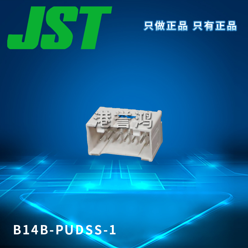 B14B-PUDSS-1(2).jpg