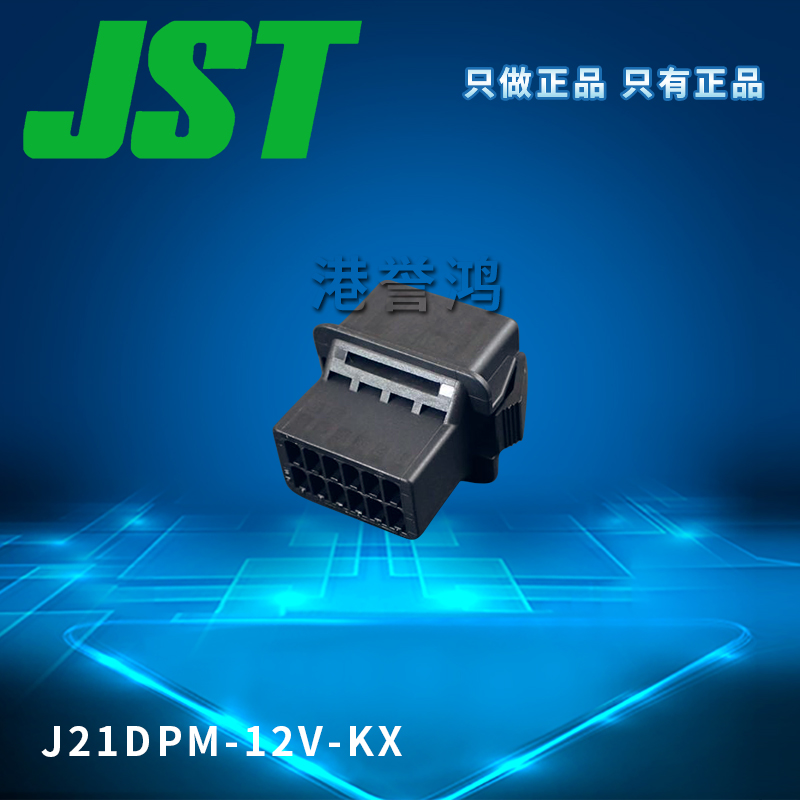 J21DPM-12V-KX(2).jpg